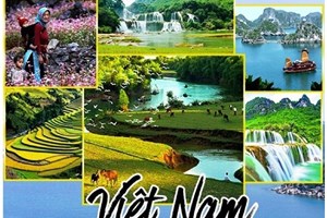 ຫວຽດນາມ ຈຸດນັດພົບນັກທ່ອງທ່ຽວ ອິນເດຍ