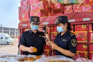 ສາມໄຕມາດປີ 2024 ມູນຄ່າການຄ້າຂາເຂົ້າ-ຂາອອກແຂວງຢຸນນານຫຼາຍກວ່າ 78 ຕື້ຢວນ