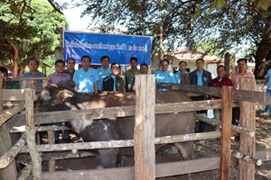 ບໍ່ແຕນ ສະເຫຼີມສະຫຼອງ 3 ວັນສຳຄັນຂອງວຽກງານກະສິກຳ ແລະ ປ່າໄມ້