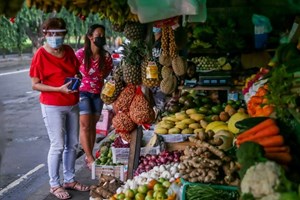 ຟີລິບປິນ ປະເທດທຳອິດໃນອາຊີ ທີ່ສົ່ງອະໂວຄາໂດສາຍພັນແຮສ ສູ່ຍີ່ປຸ່ນ