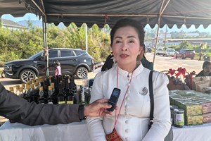 ຜະລິດຕະພັນໝາກຂາມປ້ອມອົບແຫ້ງແກ້ວສະຫວັນສິນຄ້າໂອດັອບໄດ້ຮັບຄວາມນິຍົມຈາກສັງຄົມ