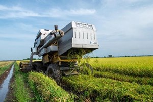 ອິນໂດເນເຊຍ ນຳເຂົ້າ-ເຂົ້າ ຈາກ ໄທ ແລະ ຫວຽດນາມ