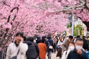 ຍີ່ປຸ່ນ ຕັ້ງເປົ້າໝາຍໃຫ້ພະລັງງານໝູນວຽນ ເປັນແຫຼ່ງພະລັງງານຫຼັກໃນປີ 2040