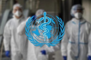 ໄຂ້ຫວັດສັດປີກຍັງມີຄວາມສ່ຽງຕໍ່າຕໍ່ລະບົບສາທາລະນະສຸກໂລກ