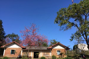 28 ປີ ແຫ່ງການກຳເນີດ ແລະ ເຕີບໃຫຍ່ຂະຫຍາຍຕົວຂອງວິທະຍຸ-ໂທລະພາບແຂວງຜົ້ງສາລີ (ເນື່ອງໃນໂອກາດ ວັນສ້າງຕັ້ງສະຖານີວິທະຍຸ-ໂທລະພາບແຂວງຜົ້ງສາລີ ຄົບຮອບ 28 ປີ(20 ທັນວາ 1996–20 ທັນວາ 2024)