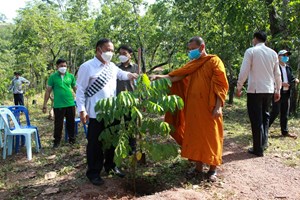ແກ່ນທ້າວພັດທະນາເມືອງຕາມທິດສີຂຽວເປັນມິດກັບສິ່ງແວດລ້ອມ