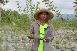 ໂຄງການພັດທະນາກະສິກໍາສະອາດປະສົບຜົນສໍາເລັດໃນການທົດລອງປູກພືດຜັກ