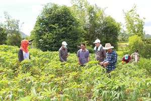 ເມຶອງແກ່ນທ້າວ ກໍານົດແຜນພັດທະນາເສດຖະກິດ-ສັງຄົມ 5 ປີຄັ້ງທີ VIII