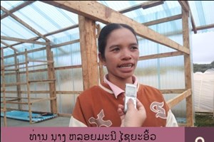 ຊຸບເປີ ວີ ຄັອບຟີ ສົ່ງເສີມປະຊາຊົນປູກກາເຟປອດສານພິດ