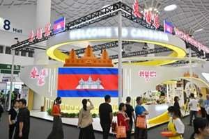 ປີ 2024 ກຳປູເຈຍ ສ້າງລາຍຮັບຈາກການສົ່ງອອກເຂົ້າ491 ລ້ານໂດລາ