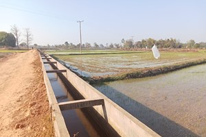 ພະແນກ ກປ ແຂວງຄໍາມ່ວນ ຊຸກຍູ້ກຸ່ມຜະລິດເຂົ້າເປັນສິນຄ້າ