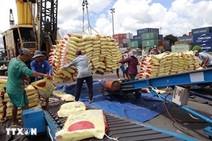 ມູນຄ່າການສົ່ງອອກເຂົ້າສານ ຫວຽດນາມ ເພີ່ມຂຶ້ນກວ່າ 23%