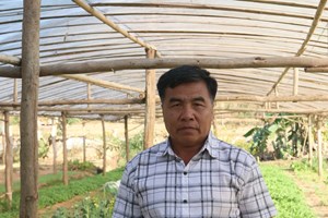 ການປູກຝັງ ແລະ ລ້ຽງສັດແບບປະສົມປະສານເຮັດໃຫ້ຊີວິດດີຂຶ້ນ