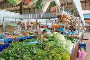 ຂະບວນການແຂ່ງຂັນ ຮັກຊາດ ແລະ ພັດທະນາ ຕິດພັນກັບການສົ່ງເສີມຜະລິດເປັນສິນຄ້າ