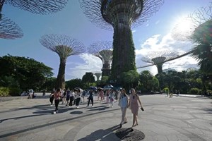 ສິງກະໂປ ພົບມູນຄ່າຄວາມເສຍຫາຍຂອງການຫຼອກລວງເພີ່ມຂຶ້ນ