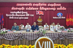 ເປີດກອງປະຊຸມໃຫຍ່ຜູ້ແທນອົງຄະນະພັກເມືອງສອງຄອນຄັ້ງທີ VIII ເປັນທາງການ