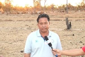 ຈາກລ້ຽງງົວຕາມທຳມະຊາດ ຫັນມາລ້ຽງເປັນກຸ່ມ ສະມາຊິກມີລາຍຮັບເພີ່ມຂຶ້ນ