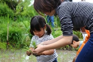 ລາຄາເຂົ້າສານໃນຍີ່ປຸ່ນຍັງສືບຕໍ່ເພີ່ມສູງຂຶ້ນ