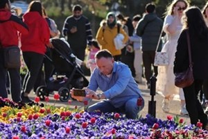 ອົສຕຣາລີ ຄົ້ນຄວ້າພົບລະບົບຫົວໃຈ ອາຍຸສູງຂຶ້ນ ສ່ຽງເປັນພະຍາດກ່ຽວກັບສະໝອງ