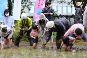 ລາຄາເຂົ້າສານໃນຍີ່ປຸ່ນ ເພີ່ມຂຶ້ນຕິດຕໍ່ກັນ 10 ອາທິດ