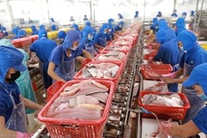 ການ​ສົ່ງ​ອອກ​ສິນ​ໃນ​ນ້ຳ​ຂອງ ຫວຽດ​ນາມ ຄາດ​ວ່າ​ຈະ​ສືບ​ຕໍ່​ມີ​ທ່າ​ເຕີບ​ໂຕ