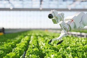 ຈີນປະກາດແຜນວາດຈຳລອງເລັ່ງສ້າງສາປະເທດໃຫ້ເຂັ້ມແຂງດ້ານກະສິກຳແບບຂັ້ນໄດ