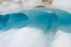 ຄື້ນຄວາມຮ້ອນໃນທະເລຮຸ່ນແຮງເພີ່ມຂຶ້ນ 3 ເທົ່າໃນ 80 ປີ