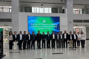 ລາວ-ຈີນ ແລກປ່ຽນບົດຮຽນ ເພື່ອລົງເລິກກິດຈະກຳລະອຽດ ໃນການລ້ຽງງົວ