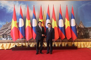 ປະທານສະພາແຫ່ງຊາດ ແຫ່ງ ສປປ ລາວ ພົບປະກັບປະທານປະເທດ ແຫ່ງ ສສ ຫວຽດນາມ