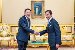 ລັດຖະມົນຕີກະຊວງກະສິກຳແລະປ່າໄມ້ສປປລາວພ້ອມຄະນະຢ້ຽມຢາມບຣູໄນດາຣູຊາລາມ