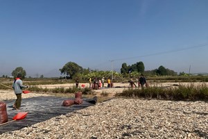 ສືບຕໍ່ຍາດແຍ່ງການຮ່ວມມື ລົງທຶນໃສ່ 14 ໂຄງການຜະລິດພືດທີ່ມີທ່າແຮງ ເປັນສິນຄ້າຍຸດທະສາດ