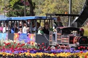 ພຶດຕິກຳປະຈຳວັນງ່າຍໆ ສາມາດຊ່ວຍຟື້ນຟູສຸຂະພາບຈິດໄດ້