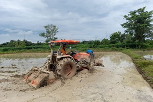 ປະຕິບັດແຜນການປີ 2025 ສຸມໃສ່ການຜະລິດເພື່ອຄວາມໝັ້ນຄົງດ້ານສະບຽງອາຫານ