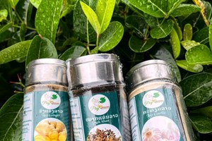 ສຸມໃສ່ການຜະລິດເປັນສິນຄ້າ ຕິດພັນກັບການປຸງແຕ່ງແລະ ການສົ່ງອອກ