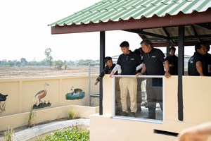 ເປີດສູນອະນຸລັກແຂ້ພື້ນເມືອງລາວ ພ້ອມ​ປ່ອຍ​ແຂ້ຄືນສູ່ທີ່ດິນບໍລິເວນນໍ້າເຊຈໍາພອນ