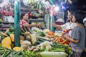 ຟີລິບປິນ ຢືນຢັນພົບຜູ້ຕິດເຊື້ອໄຂ້ຫວັດສັດປີກຊະນິດຮຸ່ນແຮງກໍລະນີທຳອິດຂອງປະເທດ