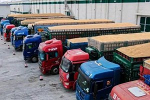 ປະລິມານການເກັບຊື້ທັນຍາຫານ ຂອງຈີນບັນລຸ 345 ລ້ານໂຕນ