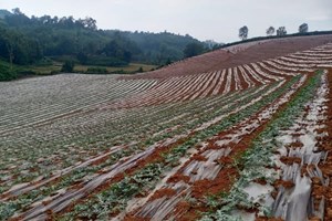 ເມືອງໄຊຍະບູລີ ສະຫຼຸບການຈັດຕັ້ງປະຕິບັດການຜະລິດລະດູແລ້ງສົກປີ 2024-2025