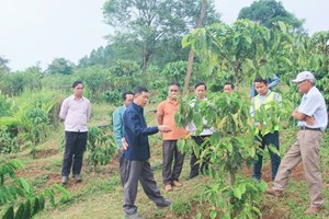 ເຈົ້າແຂວງອັດຕະປື ຢ້ຽມຢາມ ແລະ ເຮັດວຽກຢູ່ເມືອງຊານໄຊ