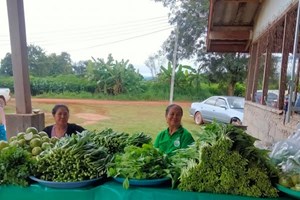 ຜົນສຳເລັດໃນການຈັດຕັ້ງກຸ່ມ ແລະ ສະຫະກອນການຜະລິດກະສິກຳ