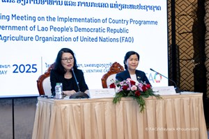 ລາວ ແລະ FAO ທົບທວນ ແລະ ວາງແຜນປະຈໍາປີ ສືບຕໍ່ແຜນງານການຮ່ວມມື ຄັ້ງທີ 7