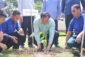 ແກ່ນທ້າວ ຈະປູກໄມ້ໃຫ້ໄດ້ 148,000 ກວ່າເບ້ຍ.