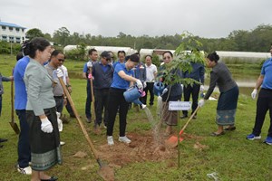 ພິທີປູກຕົ້ນໄມ້ ແລະ ປ່ອຍປາ ຢູ່ເຂື່ອນໄຟ້ຟ້ານໍ້າມັງ 3