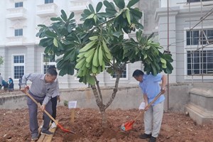 ກະຊວງ ຖວທ ຈັດກິດຈະກຳປູກຕົ້ນໄມ້ໃນວັນປູກຕົ້ນໄມ້ແຫ່ງຊາດ ແລະ ວັນເດັກນ້ອຍສາກົນ