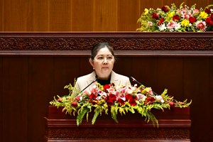 ທຫລ ຄາດວ່າຈະສາມາດຈັດຕັ້ງປະຕິບັດໄດ້ 5 ໃນ 8 ຕົວຊີ້ວັດຕິດພັນກັບແຜນເງິນຕາທີ່ສະພາຮັບຮອງ