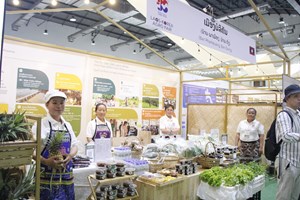 ໝາກນັດແຊບສາຍພັນນໍ້າເຜິ້ງບ້ານຜາເມືອງ ເມືອງບໍລິຄັນ