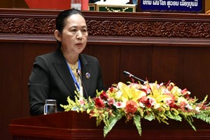 ຄະນະປະຈຳສະພາແຫ່ງຊາດ ສະເໜີໃຫ້ກວດກາຄືນບັນດາໂຄງການລົງທຶນດ້ານພະລັງງານໄຟຟ້າ