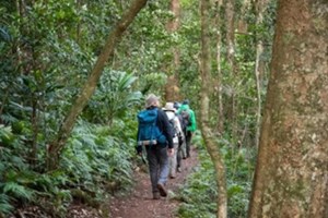 ອົສຕຣາລີ ອອກຄຳເຕືອນ ເຫັດພິດຮ້າຍແຮງ ເຮັດໃຫ້ເສຍຊີວິດ