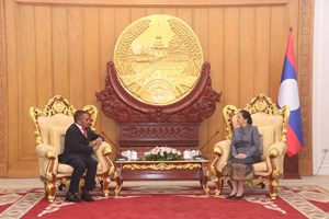 ຮອງປະທານປະເທດ ຕ້ອນຮັບທູດຕີມໍແລັດສະເຕ ເຂົ້າຢ້ຽມຂໍ່ານັບອຳລາ