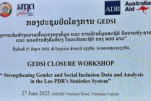 ສູນສະຖິຕິແຫ່ງຊາດບັນລຸການປັບປຸງລະບົບຂໍ້ມູນສະຖິຕິບົດບາດຍິງ-ຊາຍ